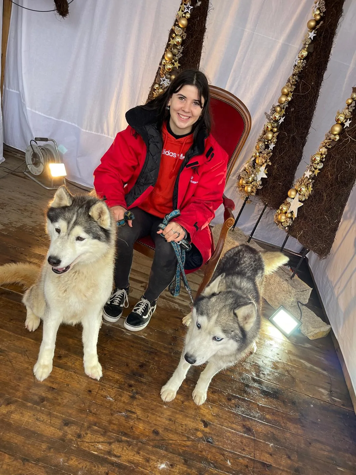 Animation de Noël : deux huskies posent avec une visiteuse dans le décor du marché de Noël