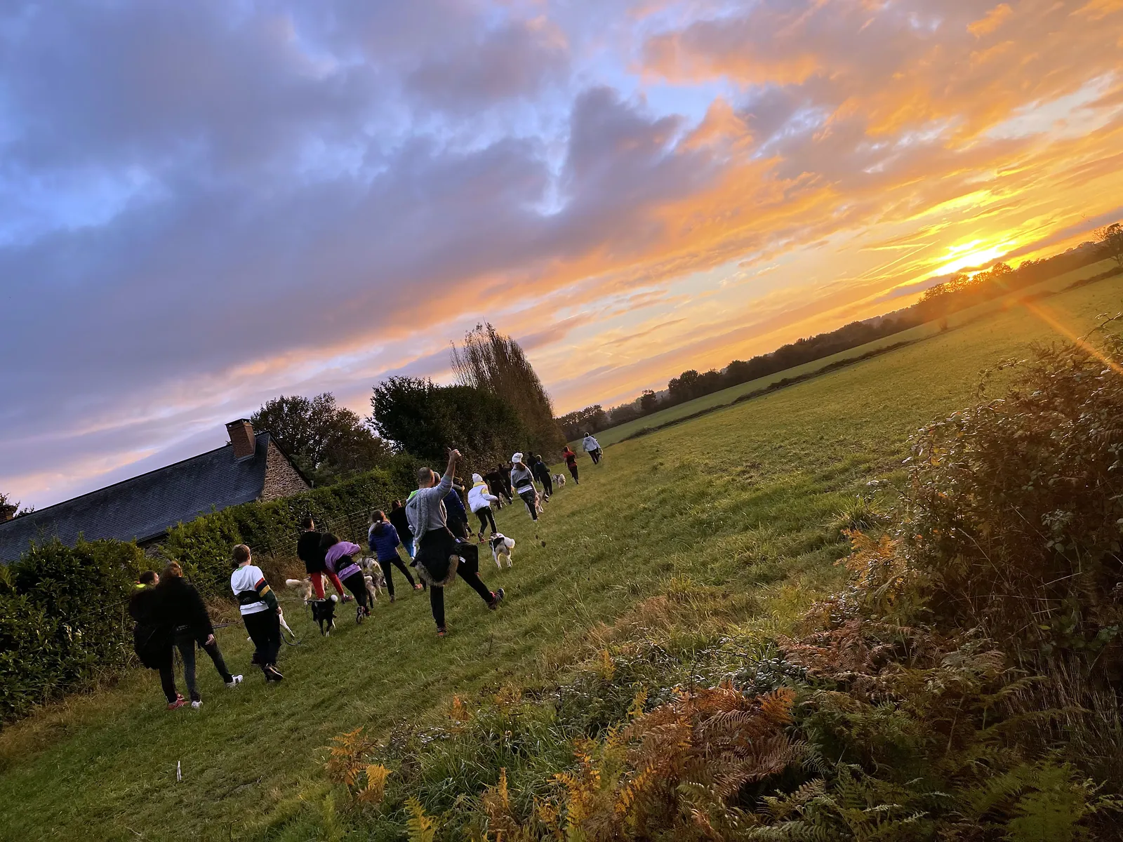 Groupe en cani-rando au coucher du soleil