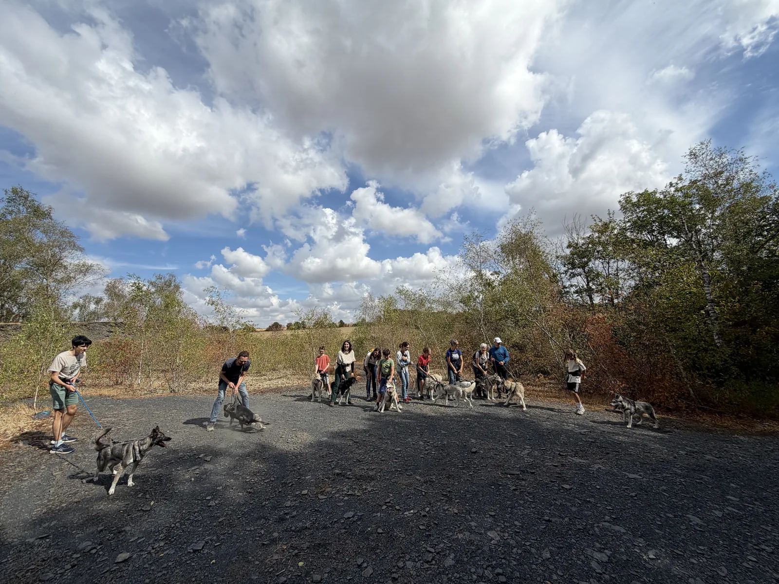 Groupe de randonneurs et leurs huskies sous un grand ciel