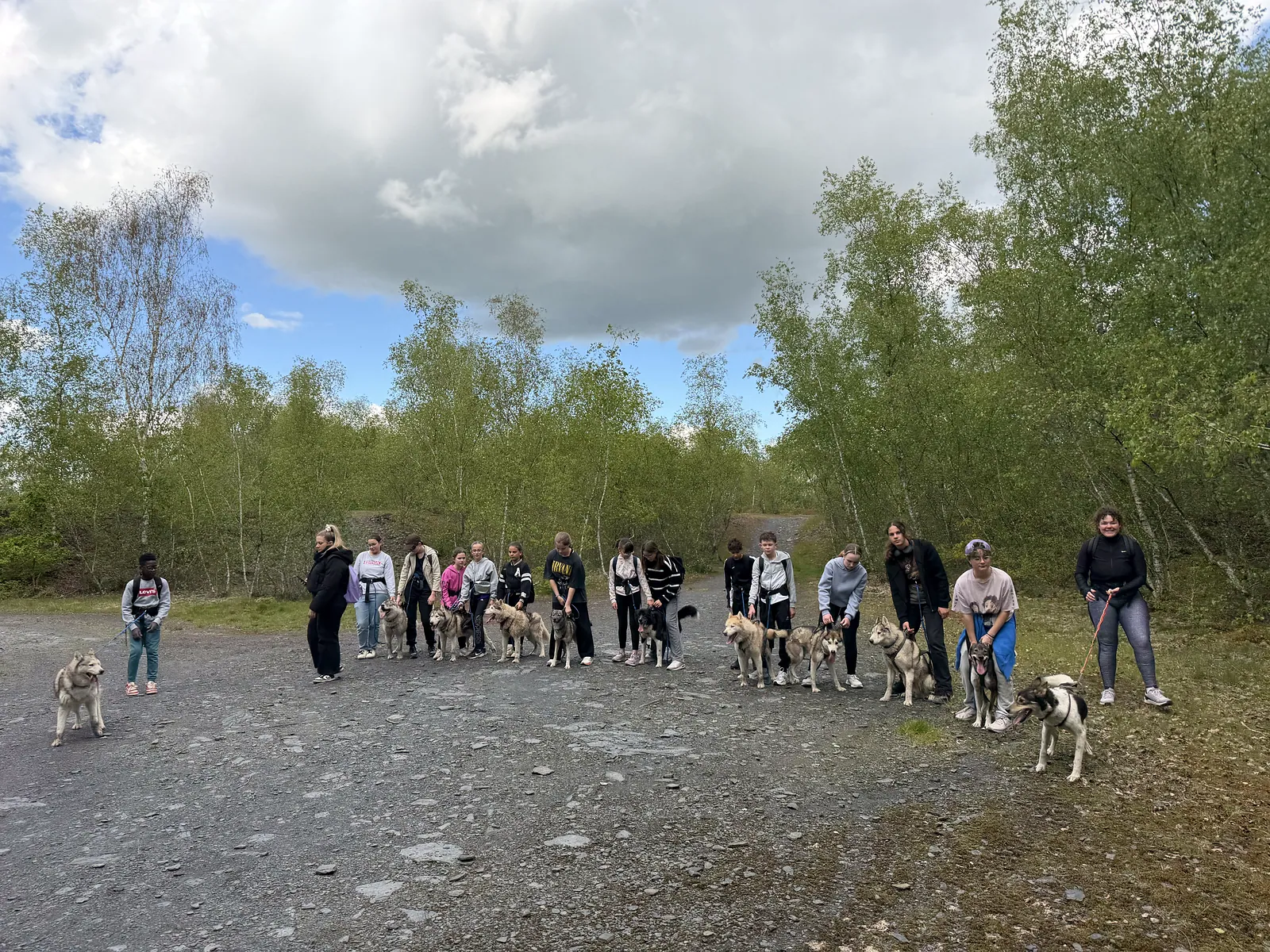 Groupe en forêt avec les huskies
