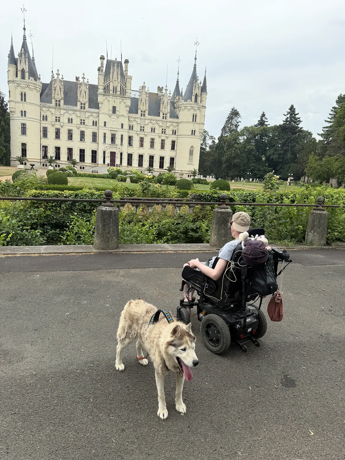 Un husky auprès d’une personne en fauteuil devant le château de Challain-la-Potherie